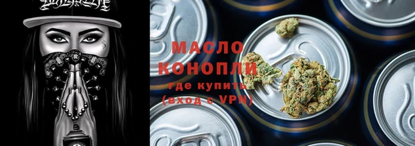 тгк Вяземский