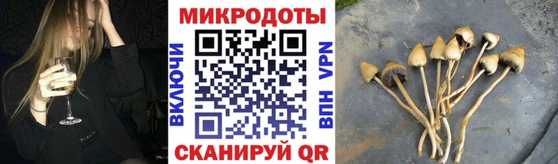 Галлюциногенные грибы GOLDEN TEACHER Лысково