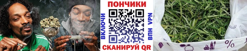 Бошки Шишки семена  Купить где  Лысково 